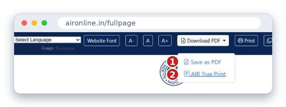 The Download PDF menu